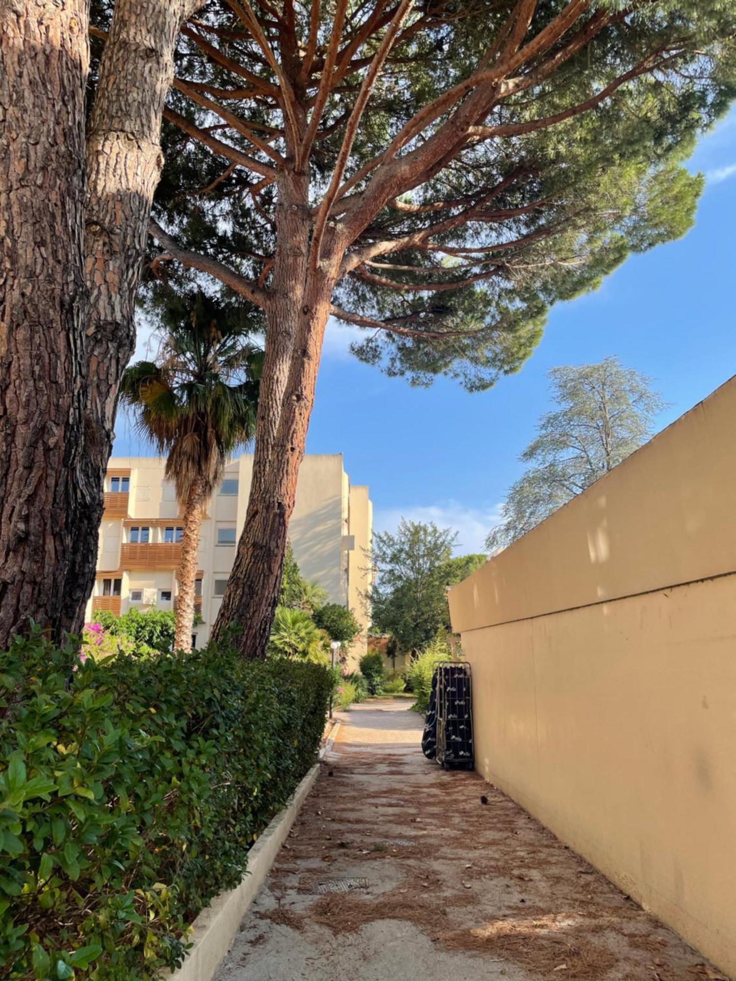 Appartement Plage Piscine Et Tennis Inclus La Londe-les-Maures Exterior foto